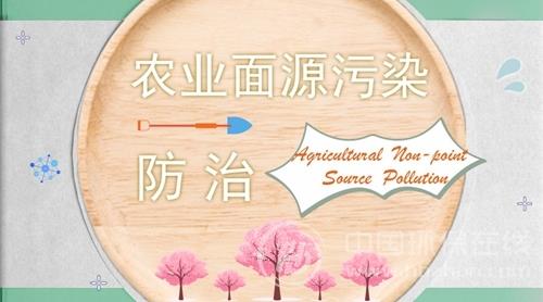 锅炉废气治理